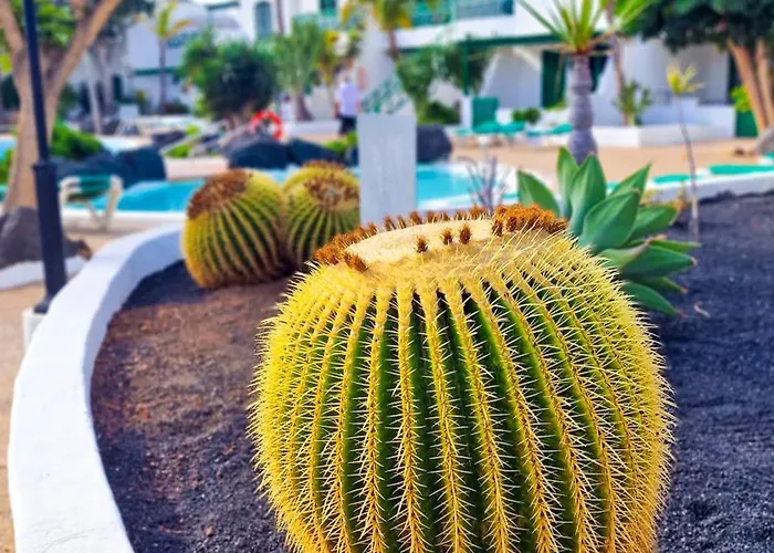 아파트 Un Capricho